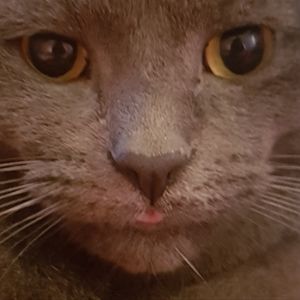 Meet your Posher, Meg